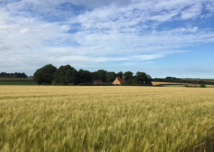 Dale Farm Holidays *